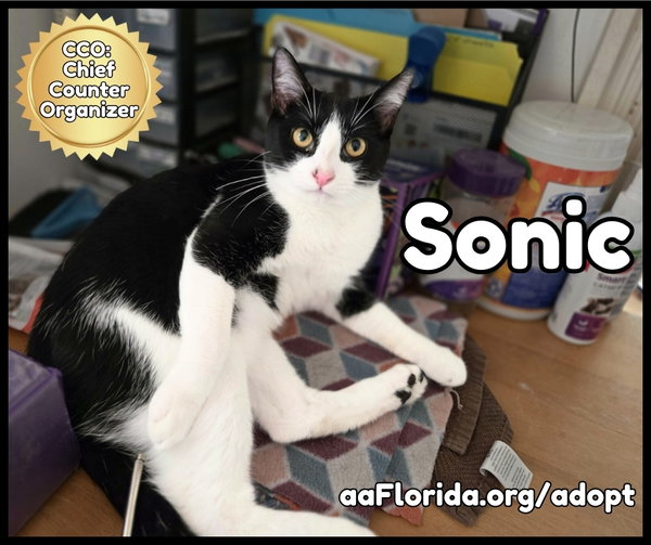 Sonic