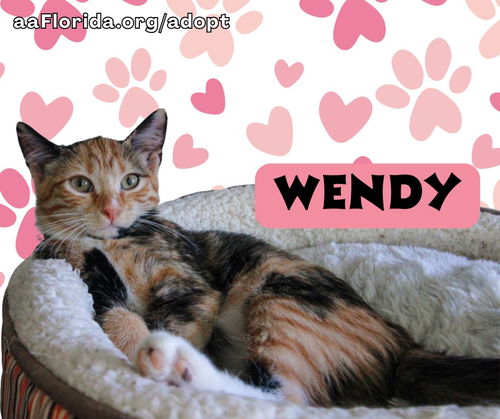 Wendy
