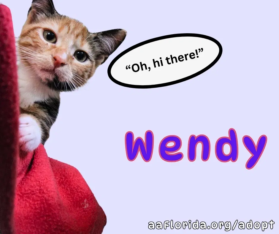 Wendy image 3