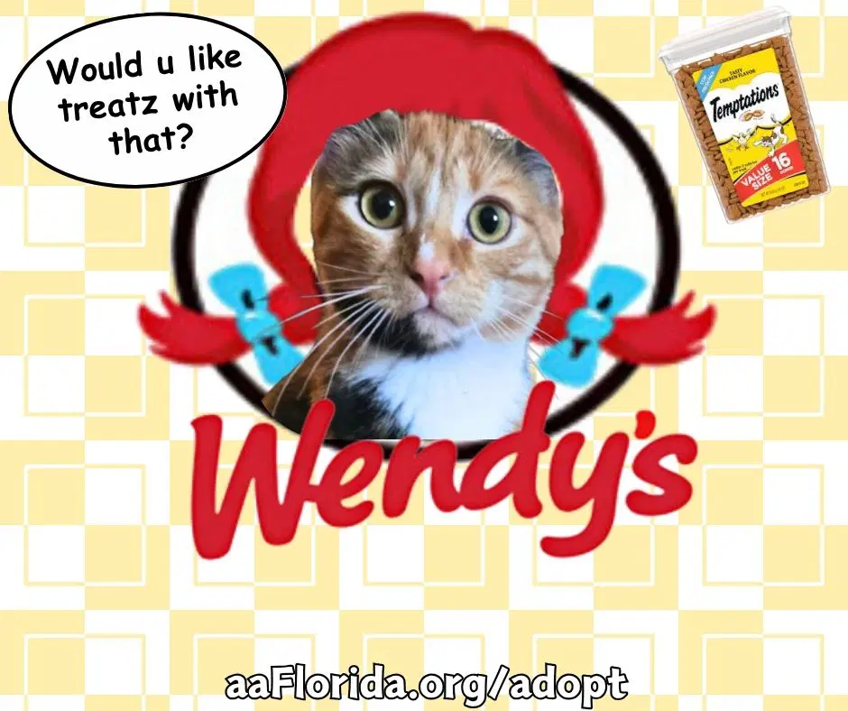 Wendy image 2