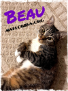 Beau