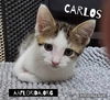 Carlos