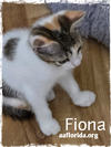 Fiona