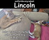 Lincoln