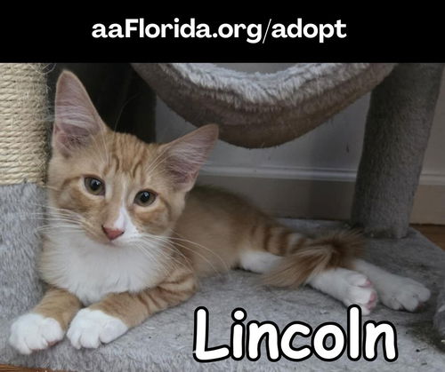 Lincoln