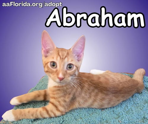 Abraham