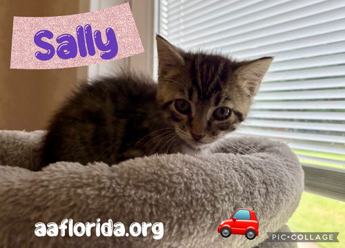 Sally