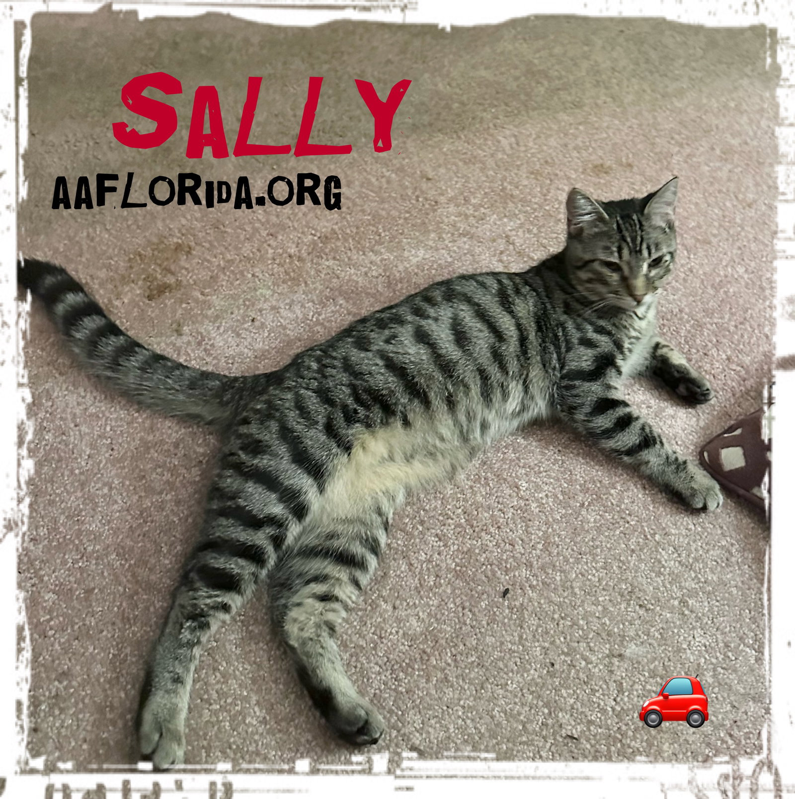 Sally