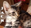 Jack