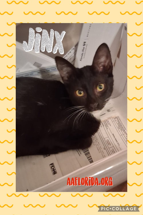 Jinx