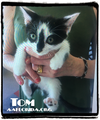 Tom