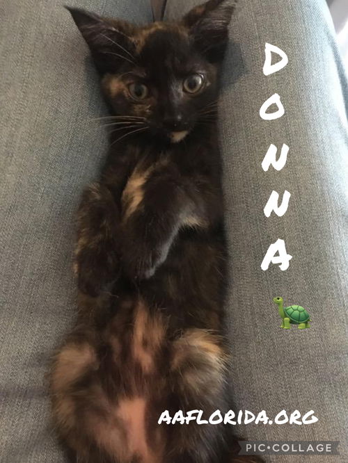 Donna