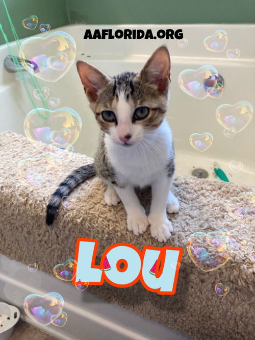 Lou