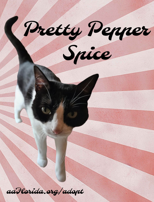 Pepper