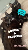 Rufus & Raspberrry - BFF's