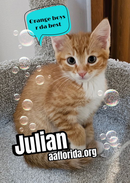 Julian