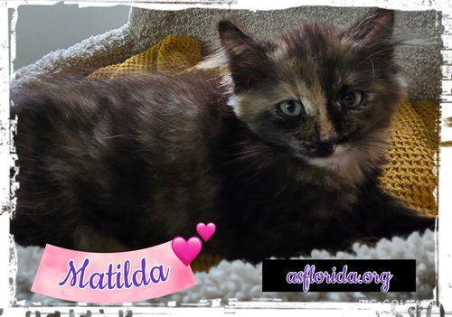 Matilda