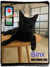 Binx