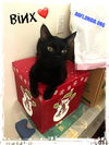 Binx