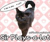 Sir Playsalot