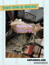 TinyTim & Helga~ a special bond