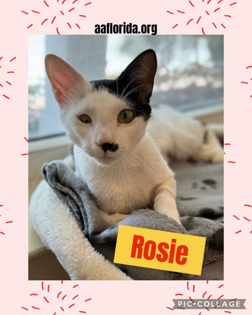 Rosie
