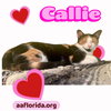 Callie & Grayson