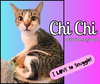 ChiChi