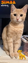 Simba