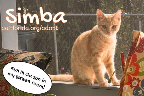 Simba