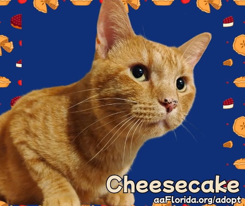 Cheesecake