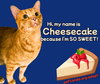 Cheesecake
