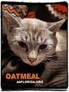 Oatmeal