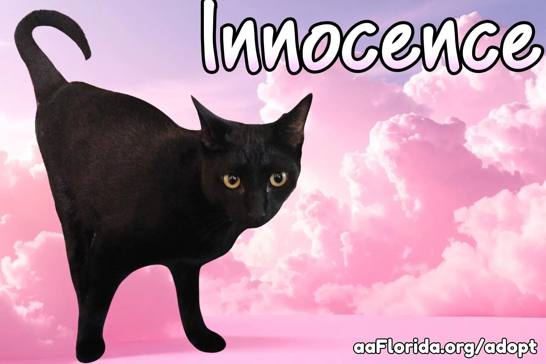 Innocence image 2