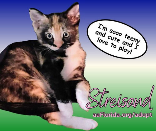 Streisand
