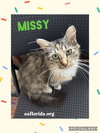 Missy