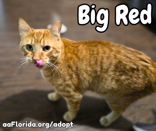 Big Red