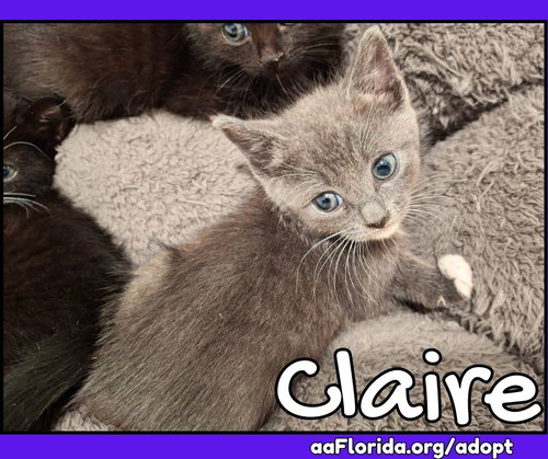 Claire