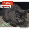 Billie
