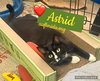 Astrid