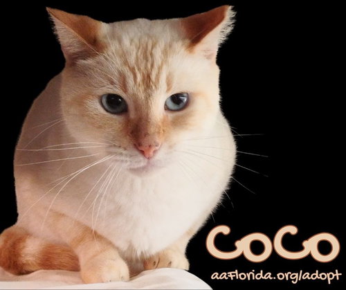 Coco