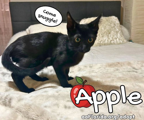 Apple