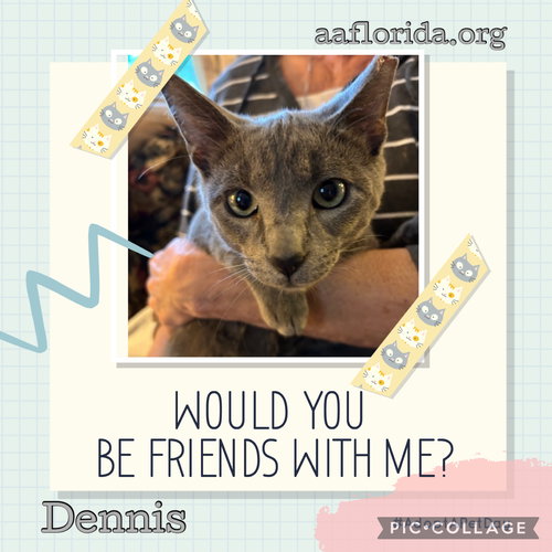 Dennis