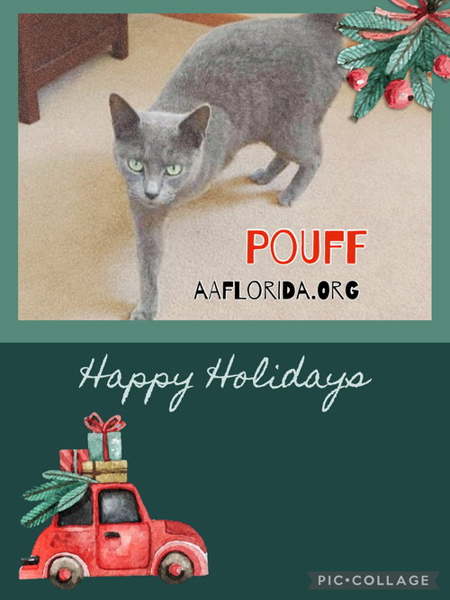 Pouff