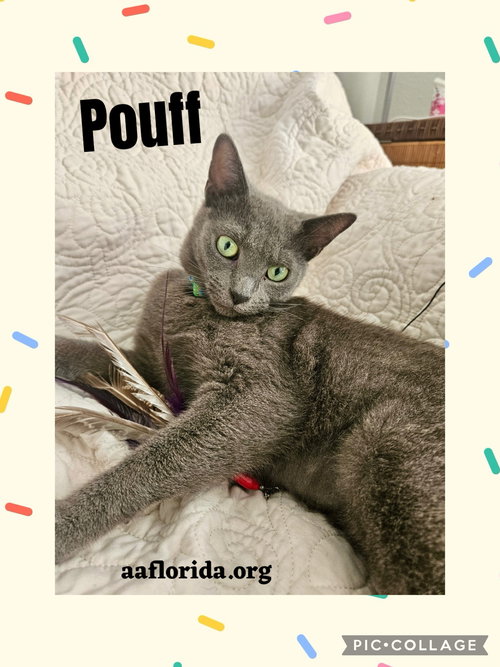 Pouff