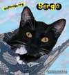 Sergio