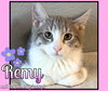 Remy