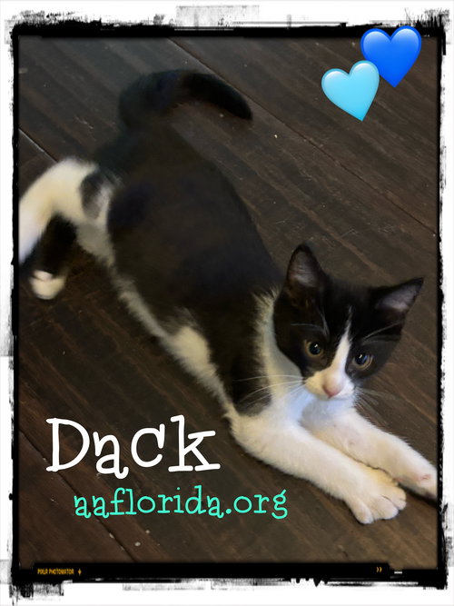 Dack