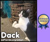 Dack-Tobi