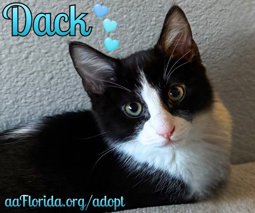 Dack